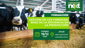 Campoastur-next