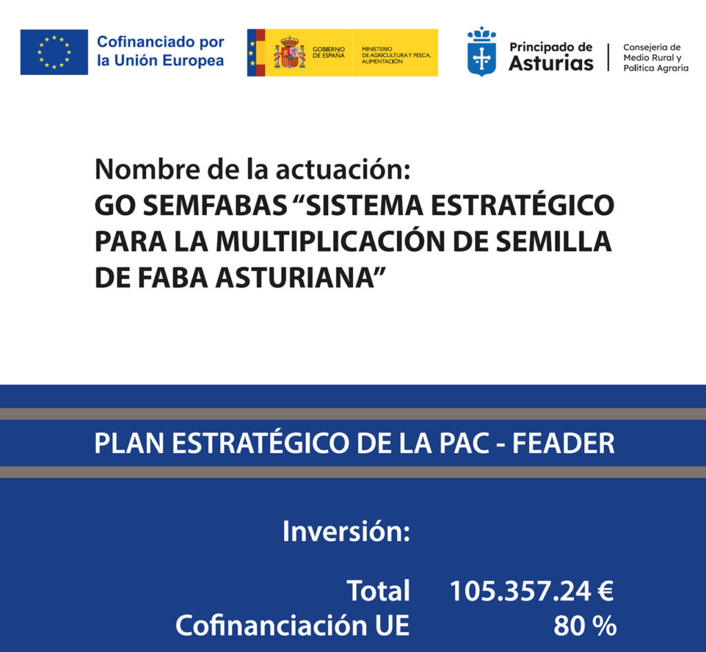 GO semfabas